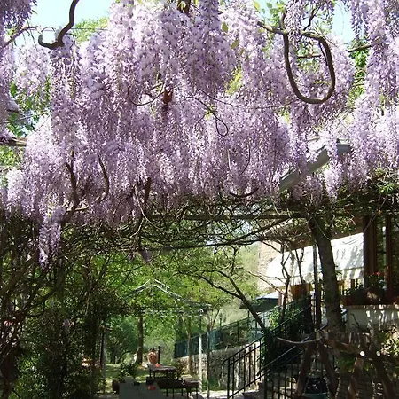 Agriturismo Oasi Verde Mengara * Gubbio